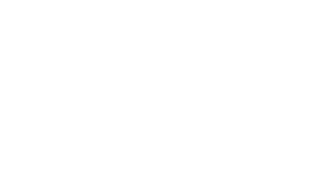 WATS logo white